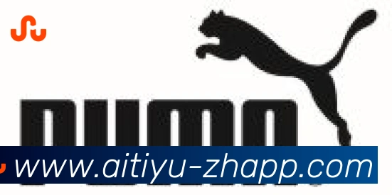 爱体育合作伙伴